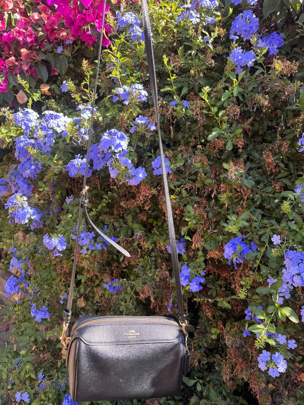 Coach Mini Bennett Black Pebbled Leather Crossbody Bag with Gold Hardware
